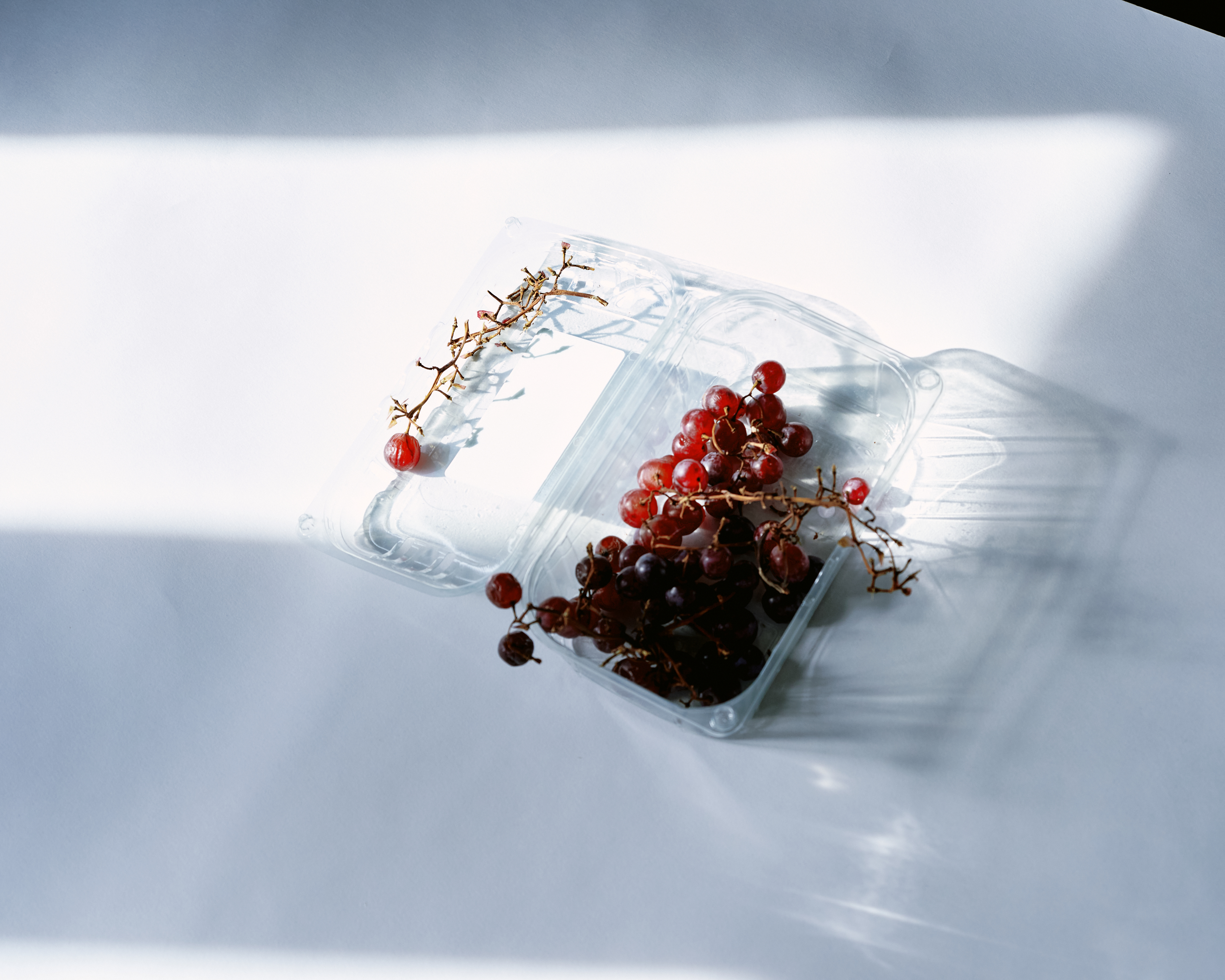 Landscape image _8100136