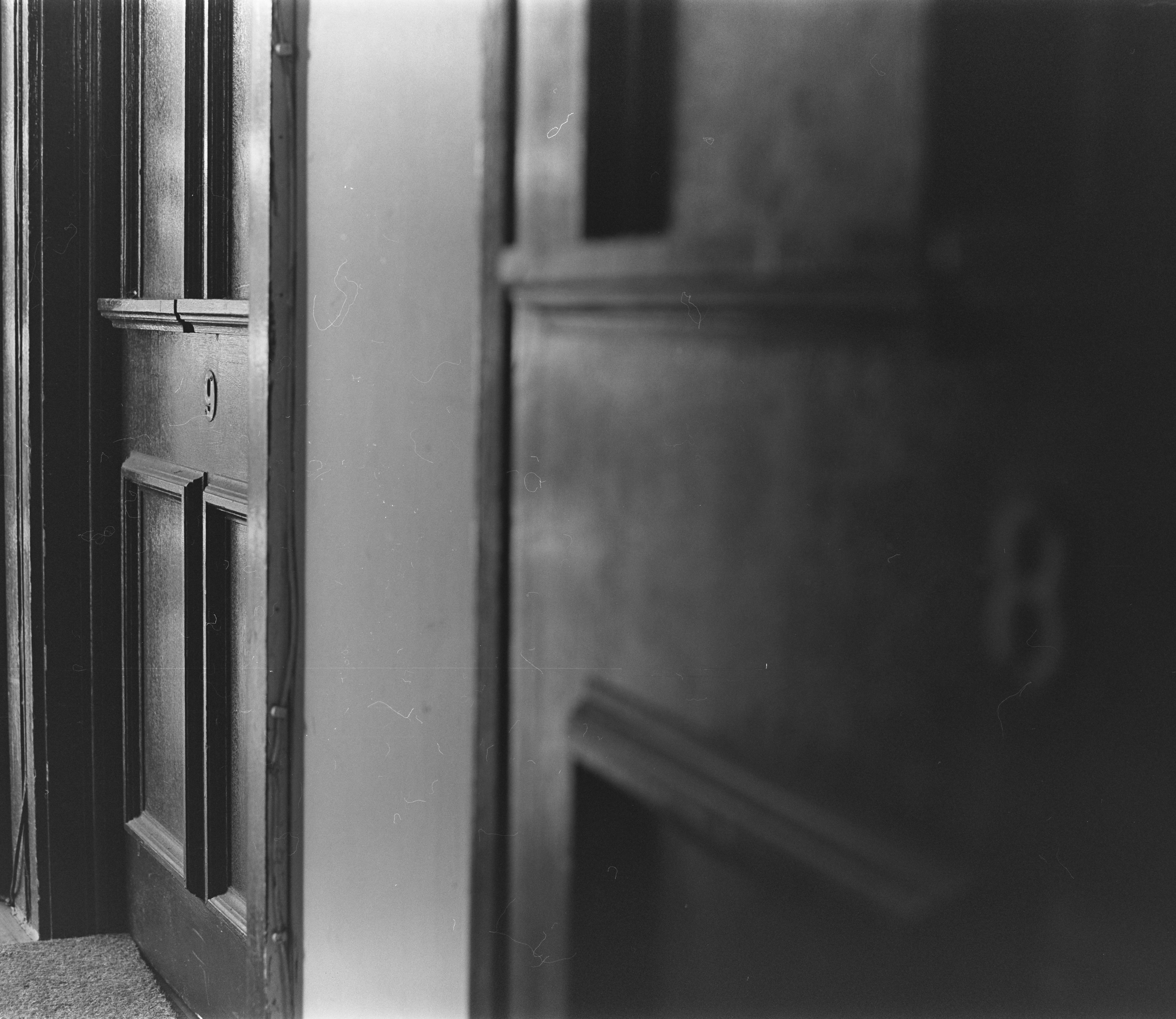 Landscape image 20260202 Tri X RB 67 T...0468